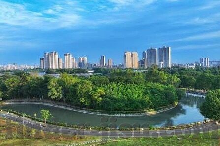 下载手游九连宝灯-探索九连宝灯下载手游的奇妙之旅